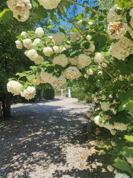 Le Clos De La Rose Gite Bien Etre Wirwignes Εξωτερικό φωτογραφία