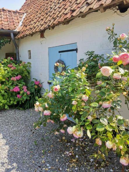Le Clos De La Rose Gite Bien Etre Wirwignes Εξωτερικό φωτογραφία