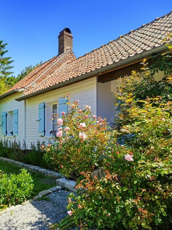 Le Clos De La Rose Gite Bien Etre Wirwignes Εξωτερικό φωτογραφία